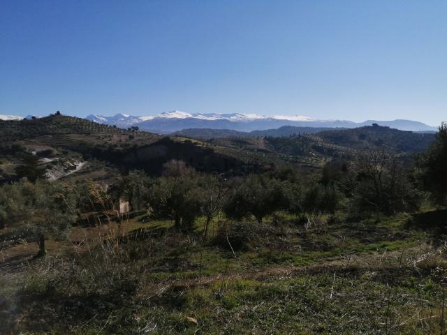 Terreno en venta en Comarca de la Vega de Granada, Andalucía