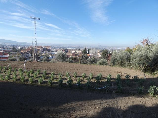 Terreno en venta en San Miguel, Comarca de la Vega de Granada