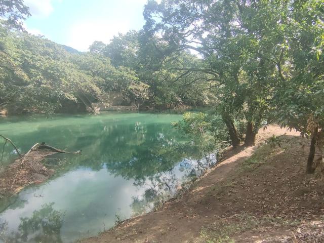 Terreno en venta en Huehuetlán, San Luis Potosí