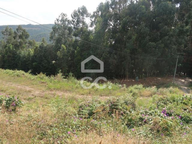 Terreno venda em Felgueiras, Idães