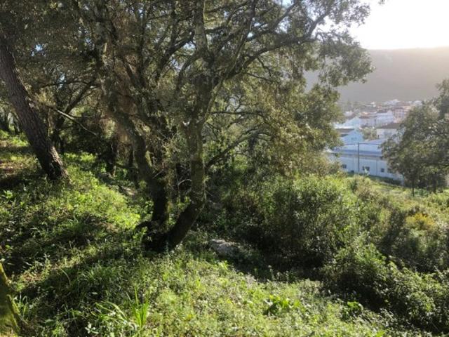 Terreno venda em Alcanena, Santarém