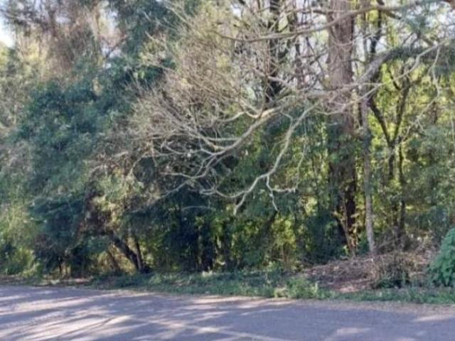 Terreno venda em Região Geográfica Imediata de Curitiba, Região Metropolitana de Curitiba
