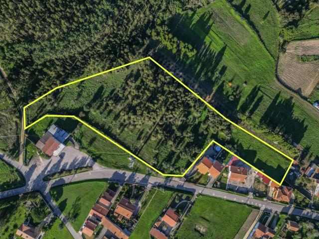 Terreno venda em Figueira Da Foz, Coimbra
