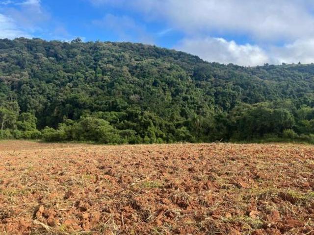Terreno venda em Região Imediata de Sorocaba, Região Metropolitana de Sorocaba