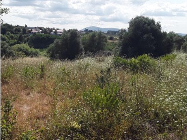 Terreno venda em Póvoa do Manique, Azambuja