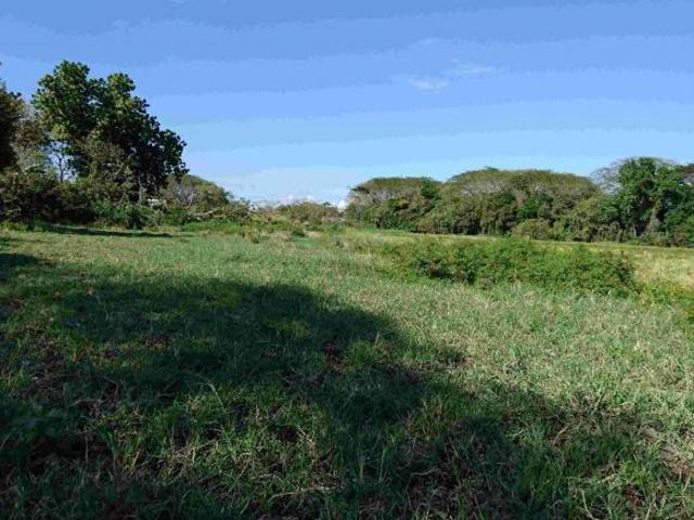 TERRENO IDEAL PARA UN DESARROLLO