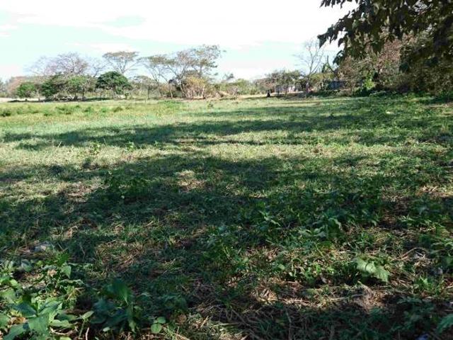 TERRENO IDEAL PARA UN DESARROLLO