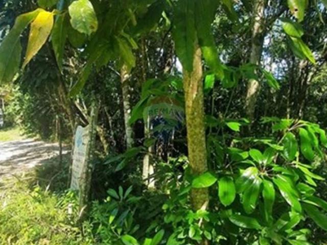 Terreno venda em Siriuba, Ilhabela