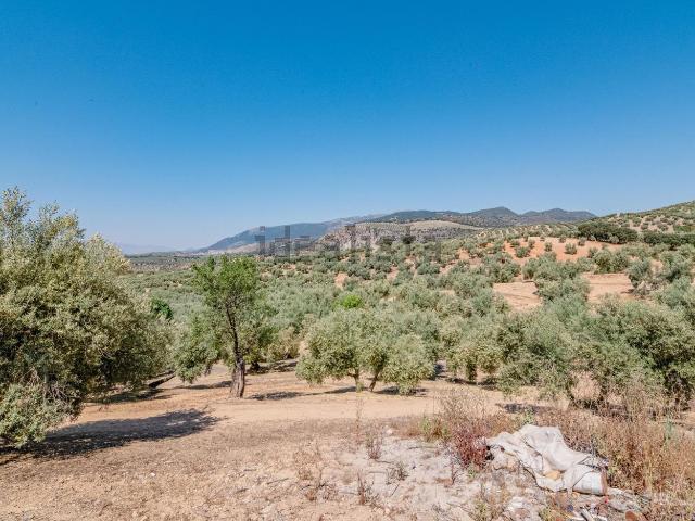 Terreno en venta en Comarca de Loja, Andalucía