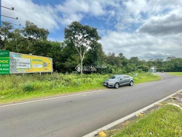 Terreno venda em Nova Crixás, Região Geográfica Intermediária de Goiânia