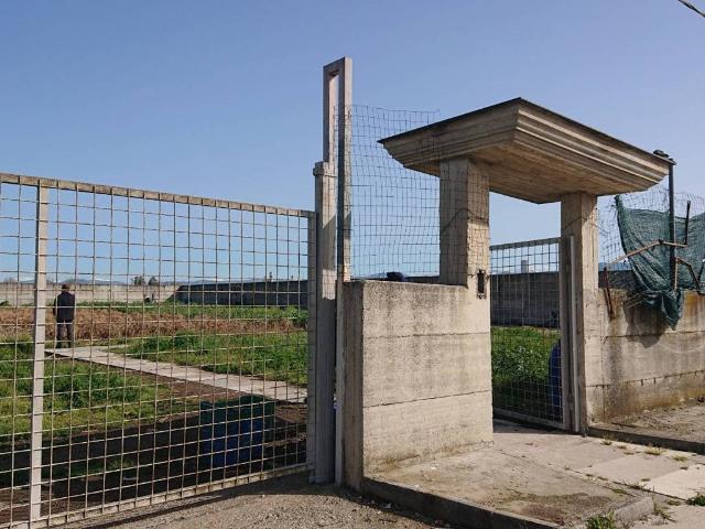 Terreno in affitto a Acerra, Campania