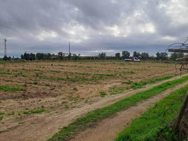 Terreno in affitto a Puglia, Bari