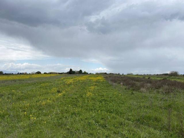 Terreno in affitto a Piemonte, Alessandria