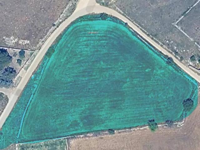 Terreno in affitto a Puglia, Bari