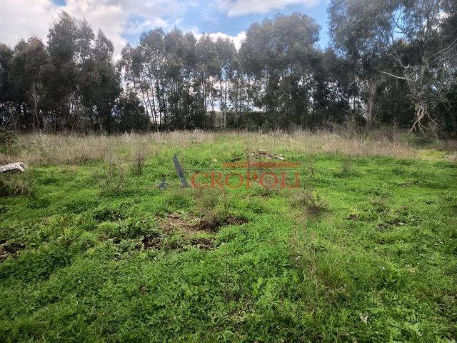 Terreno in affitto a Vigna di Valle, Roma Capitale