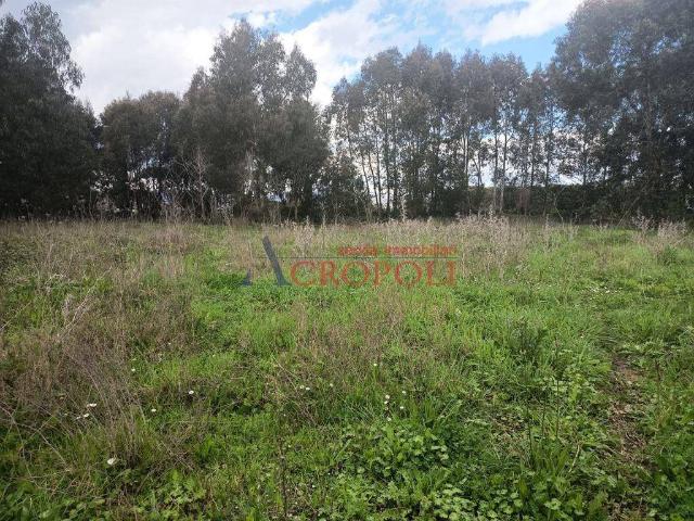 Terreno in affitto a Vigna di Valle, Anguillara Sabazia
