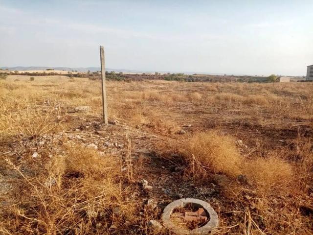 Terreno in affitto a Favarella, Caltagirone