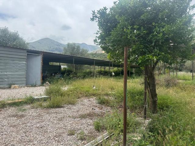 Terreno in affitto a Carini, Palermo