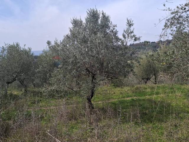 Terreno in affitto a Castelfranco Piandiscò, Toscana