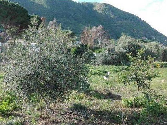 Terreno in affitto a Mazzaforno, Cefalù