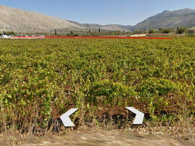 Terreno in affitto a Custonaci, Sicilia