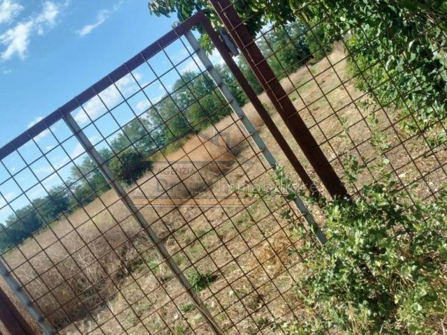 Terreno in affitto a Giugliano In Campania, Campania