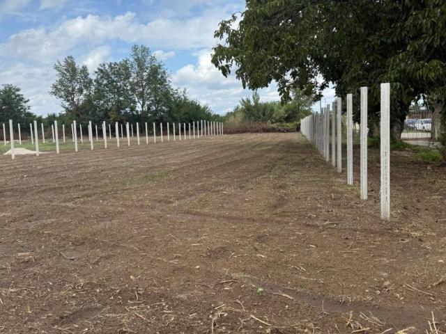 Terreno in affitto a Gricignano Di Aversa, Campania
