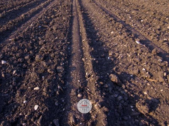 Terreno in affitto a Borgo Piave, Latina