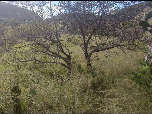 Terreno in affitto a Panarea, Sicilia