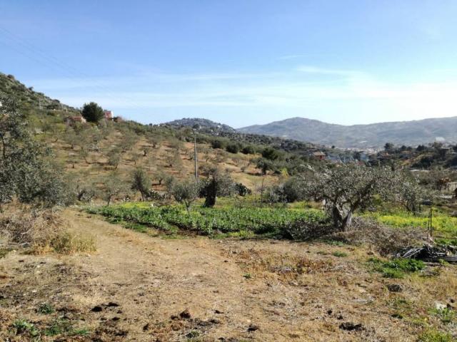 Terreno in affitto a Misilmeri, Sicilia