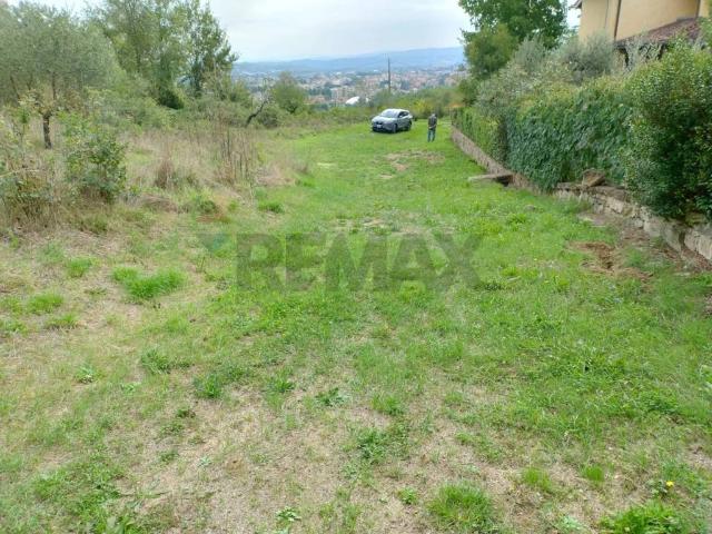 Terreno in affitto a Giglio, Montevarchi
