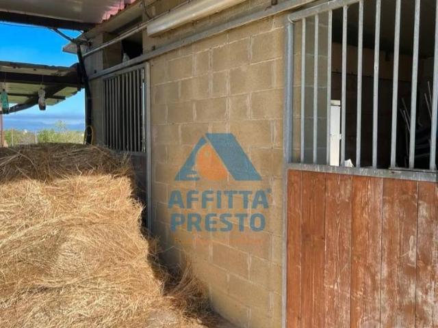 Terreno in vendita a Montopoli In Val D'arno, Toscana
