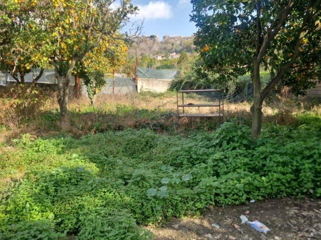 Terreno in affitto a Camaldoli, Napola