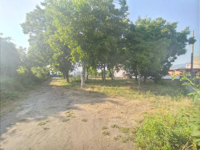 Terreno in affitto a Nola, Campania
