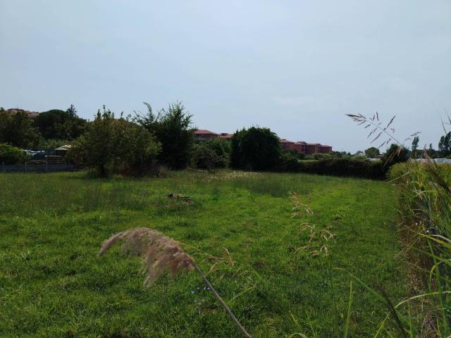 Terreno in affitto a San Giusto, Pisa