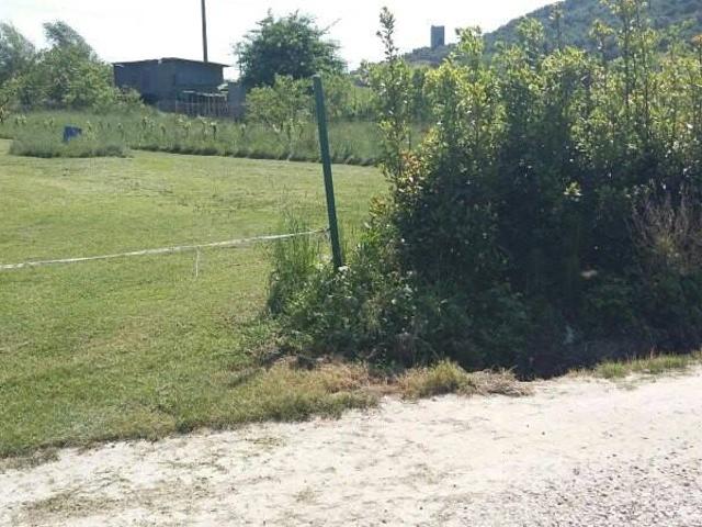 Terreno in affitto a Porta a Piagge, Pisa