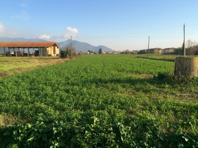 Terreno in affitto a Porta a Piagge, Pisa