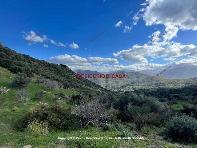 Terreno in affitto a Pollina, Palermo