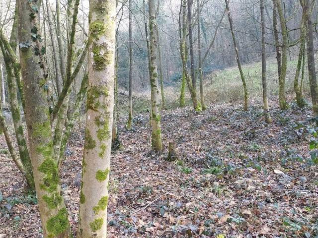 Terreno in affitto a Ponteranica, Lombardia