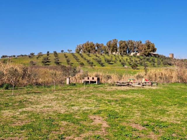 Terreno in affitto a Falcognana, Roma Capitale