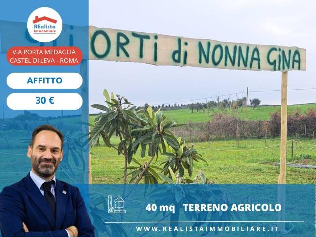 Terreno in affitto a Roma Capitale, Lazio