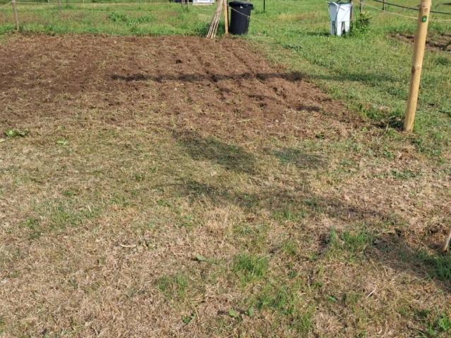 Terreno in affitto a Roma Capitale, Lazio