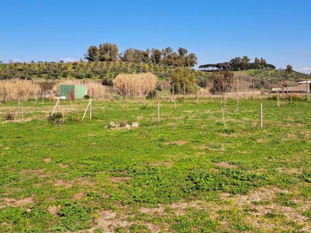 Terreno in affitto a Roma Capitale, Lazio