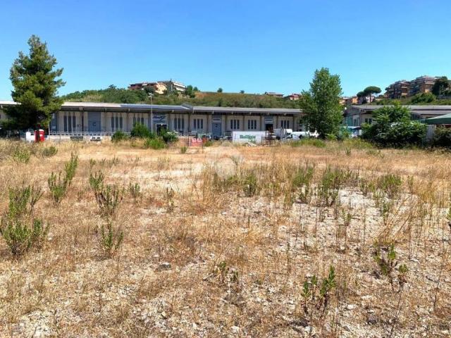 Terreno in affitto a Municipio Roma XI, Roma Capitale