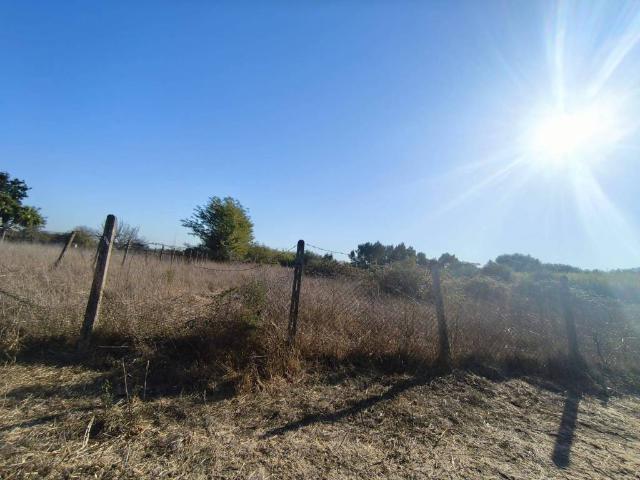 Terreno in affitto a Castel Fusano, Roma