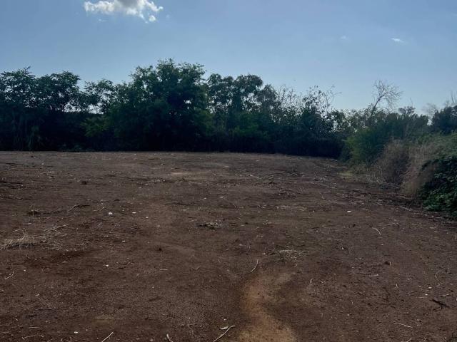 Terreno in affitto a Municipio Roma IX, Roma Capitale