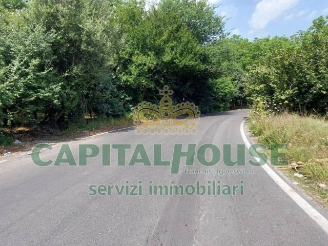 Terreno in affitto a Palma Campania, Campania