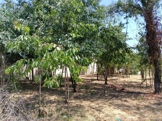 Terreno in affitto a San Giorgio A Cremano, Campania