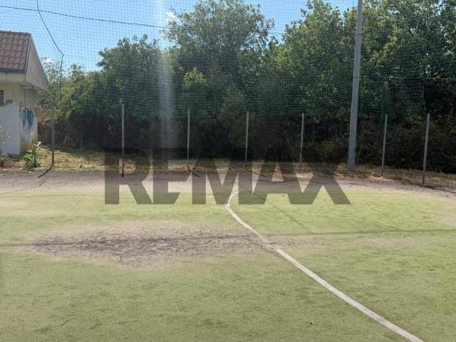Terreno in affitto a San Giovanni La Punta, Sicilia