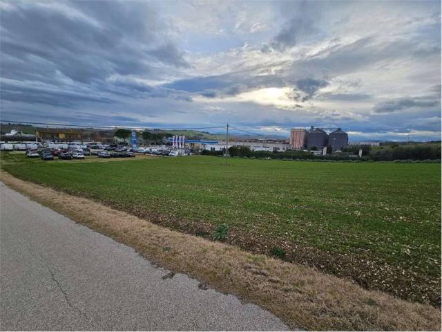 Terreno in affitto a Marche, Ancona